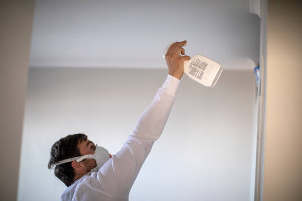Best Crawl Space Mold Removal  in West Hempstead, NY